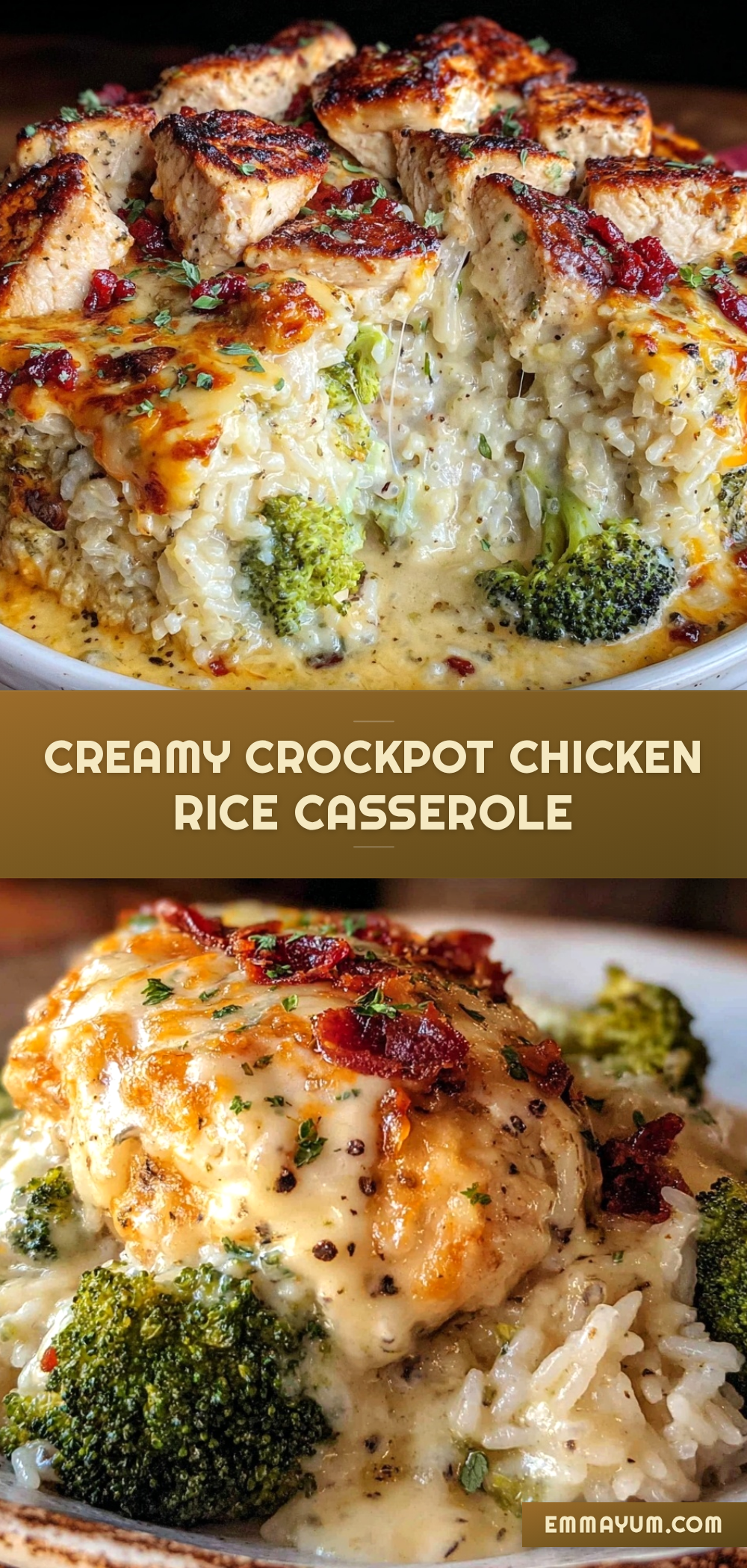 creamy crockpot chicken and rice casserole recipe