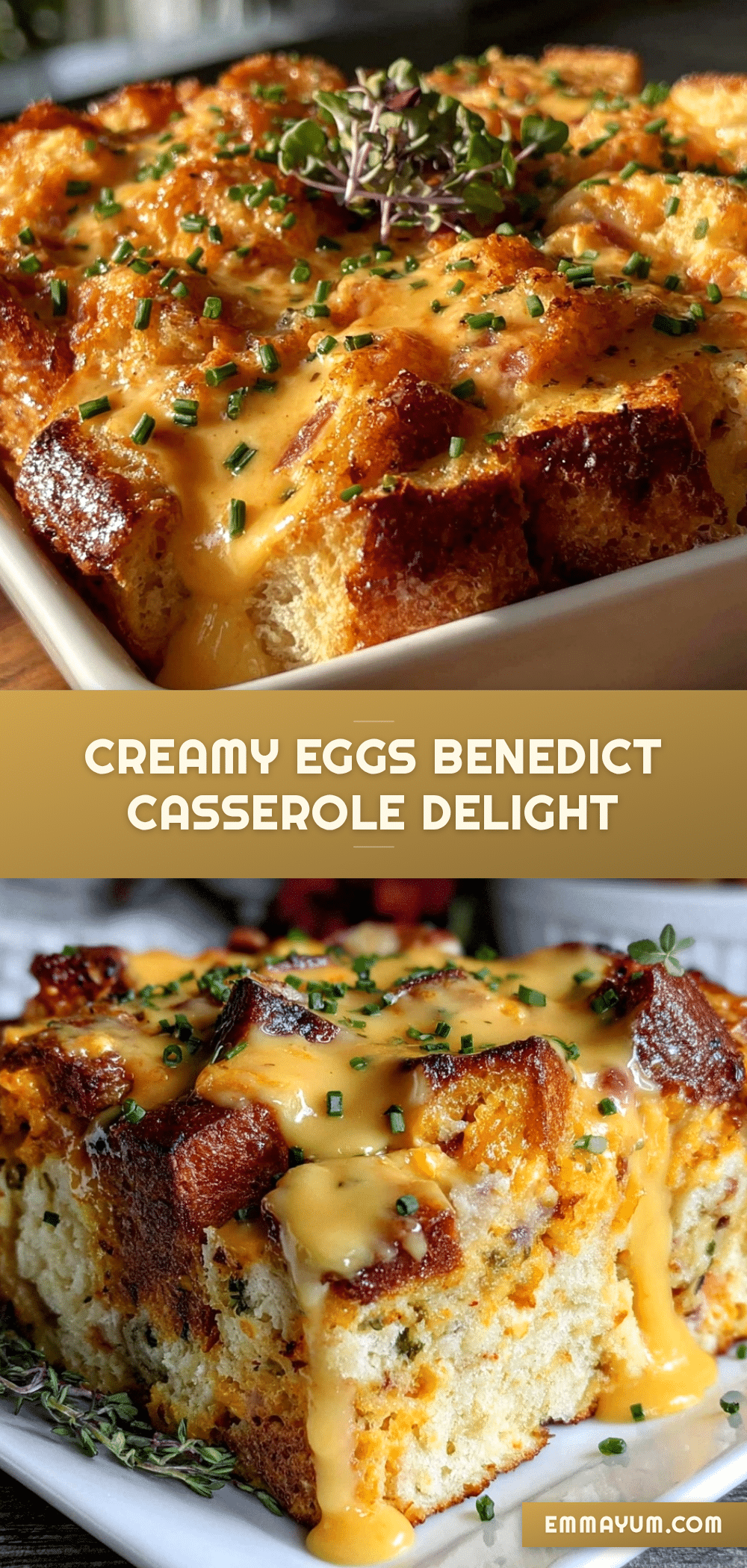 creamy eggs benedict casserole recipe