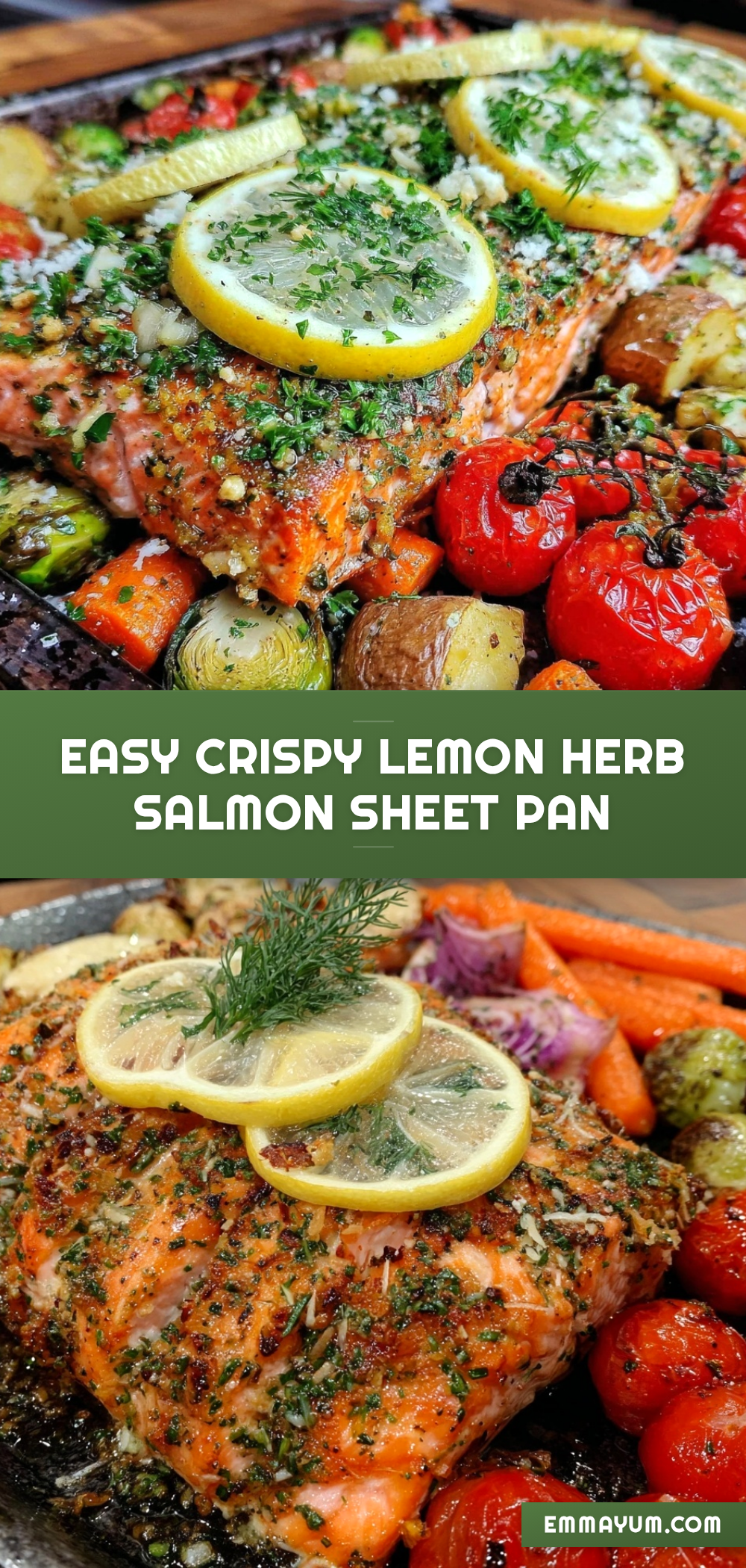 easy crispy lemon herb salmon sheet pan dinner recipe