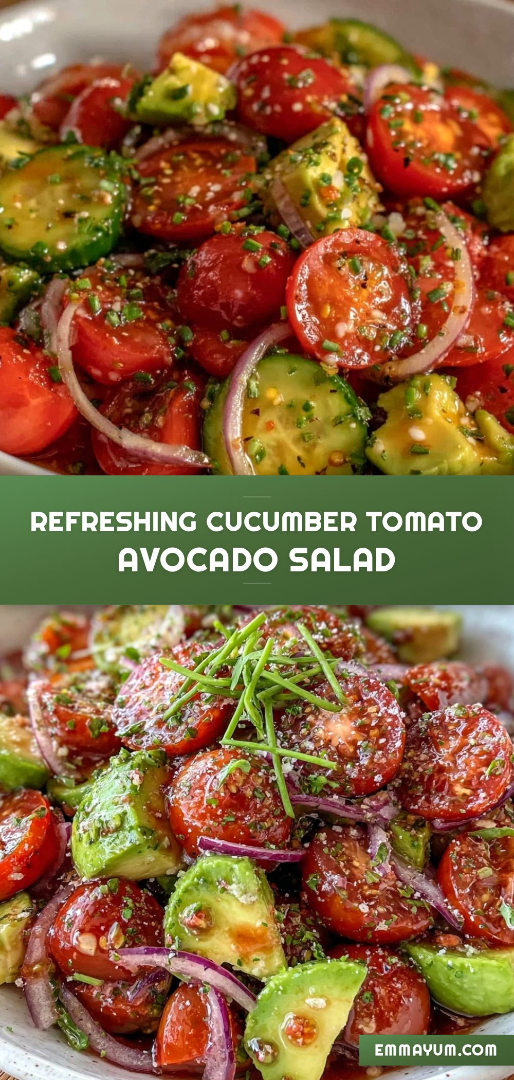fresh cucumber tomato avocado salad recipe
