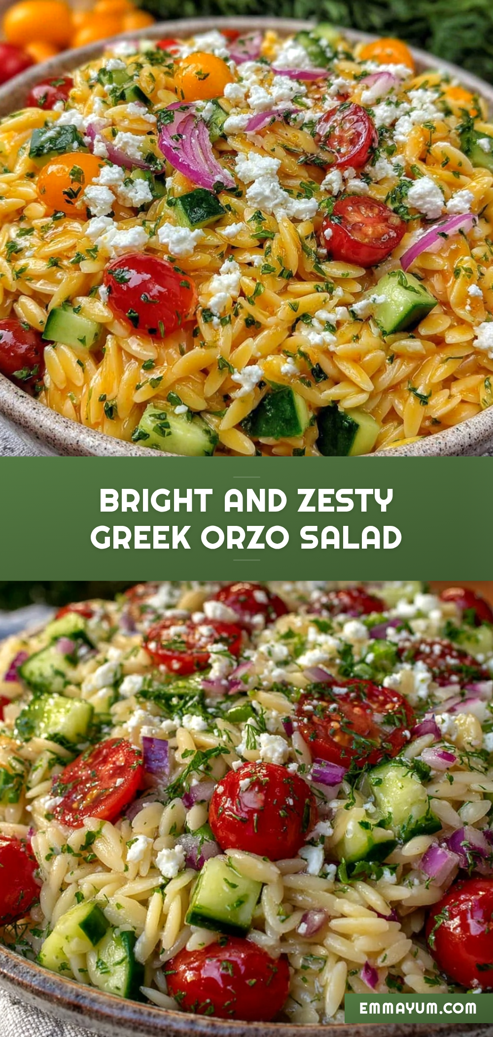 fresh greek orzo pasta salad recipe