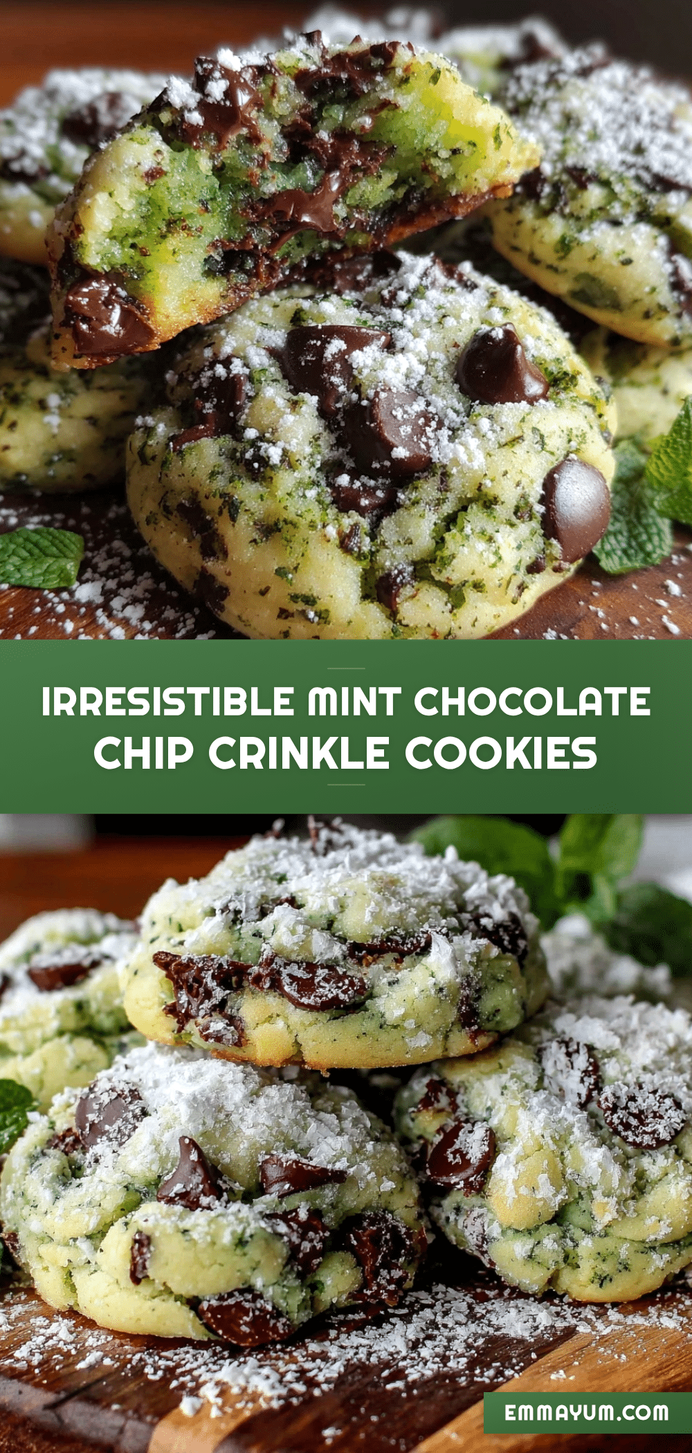 mint chocolate chip crinkle cookies recipe