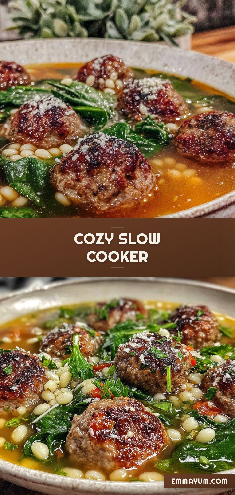 slow cooker italian wedding soup recipe