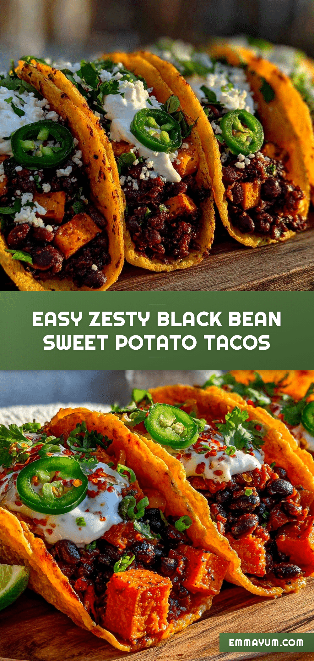 black bean and sweet potato tacos recipe