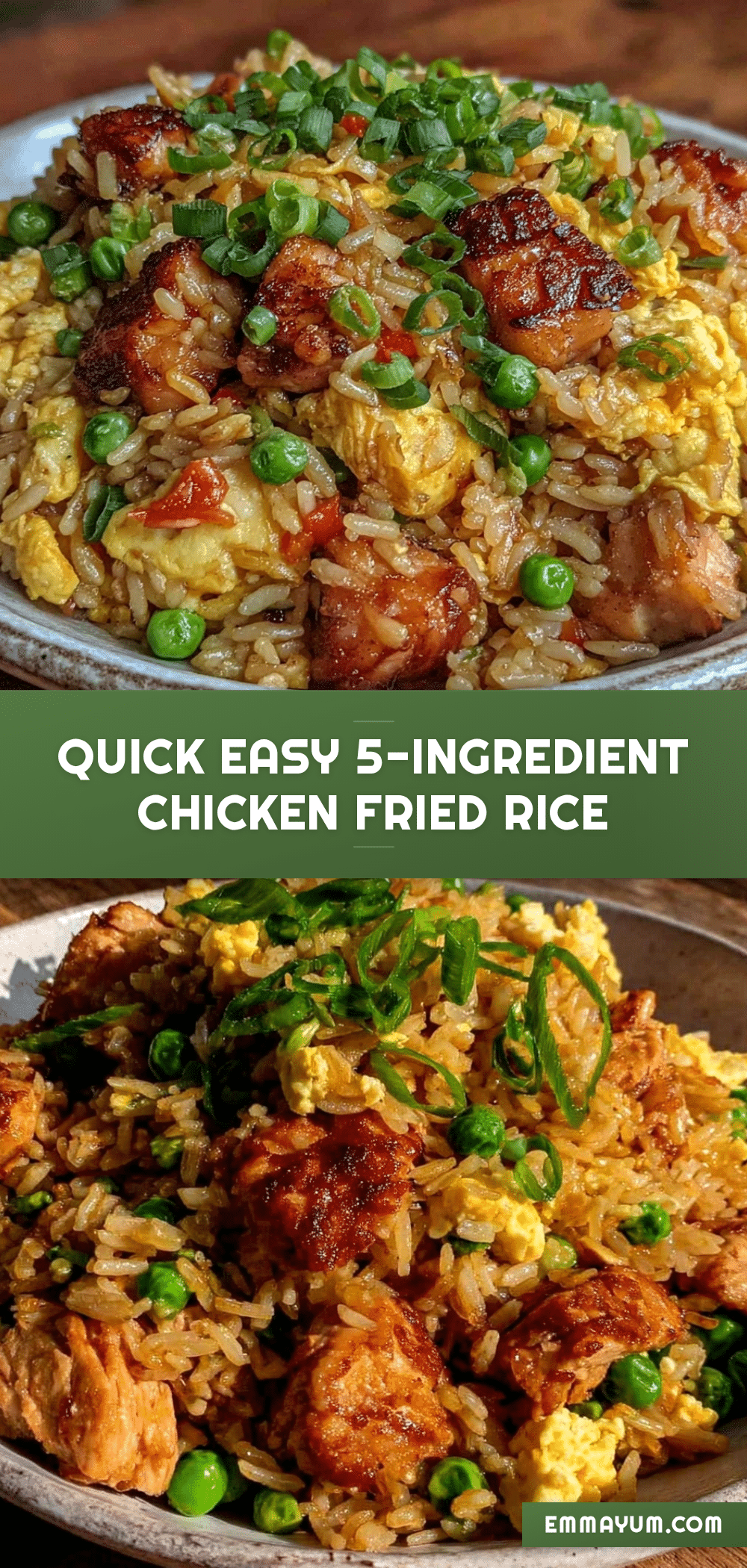easy chicken fried rice recipe recipe