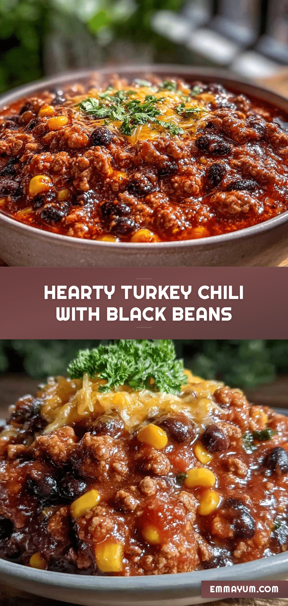 hearty turkey chili recipe