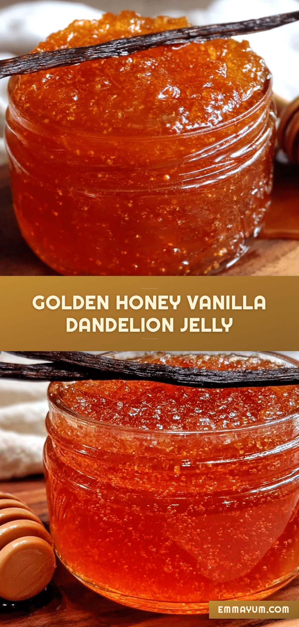 homemade dandelion jelly recipe