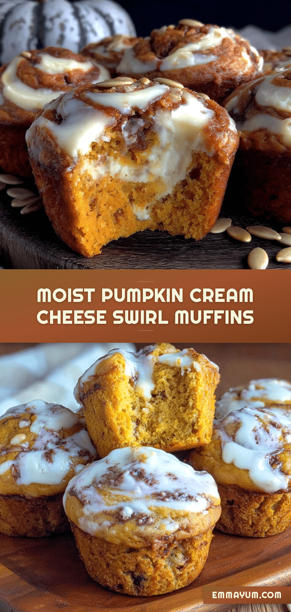 moist pumpkin cream cheese swirl muffins recipe