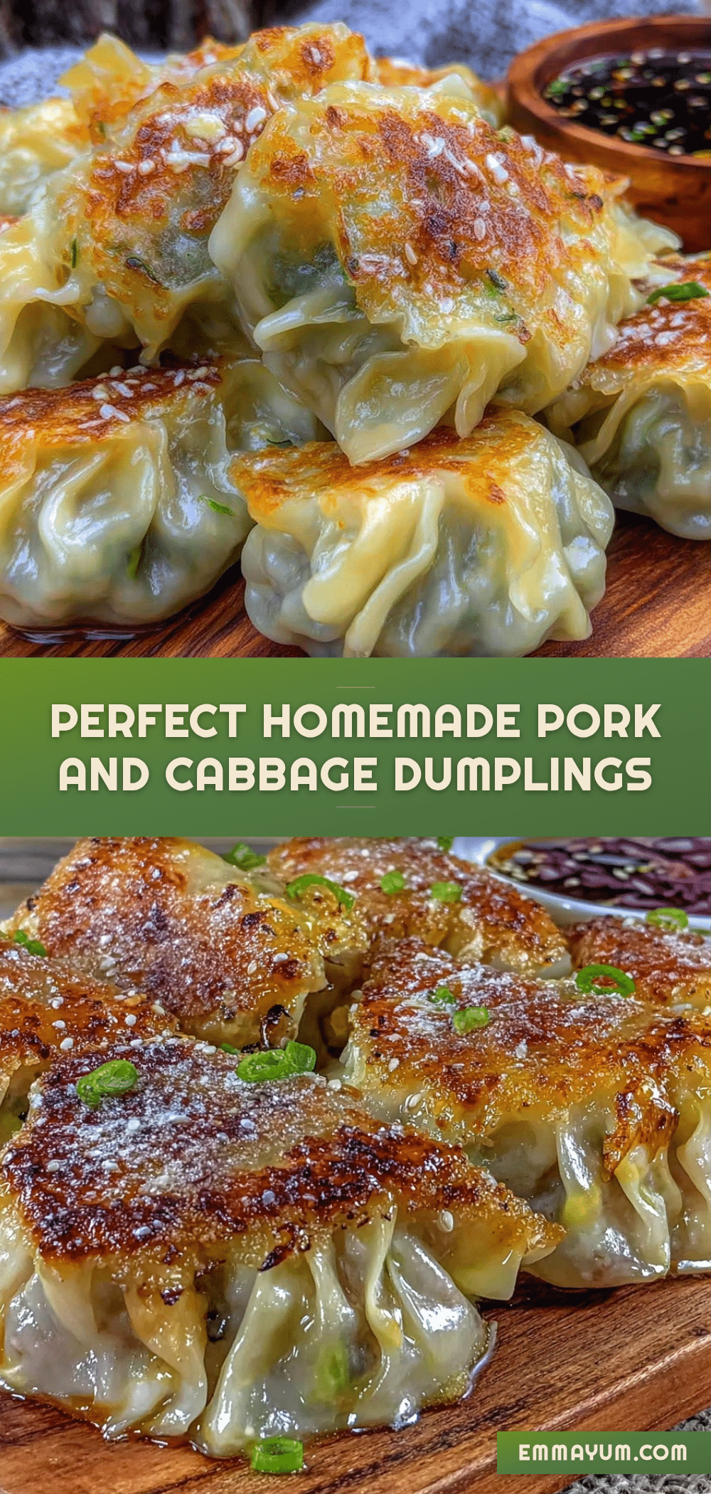 pork and cabbage dumplings recipe