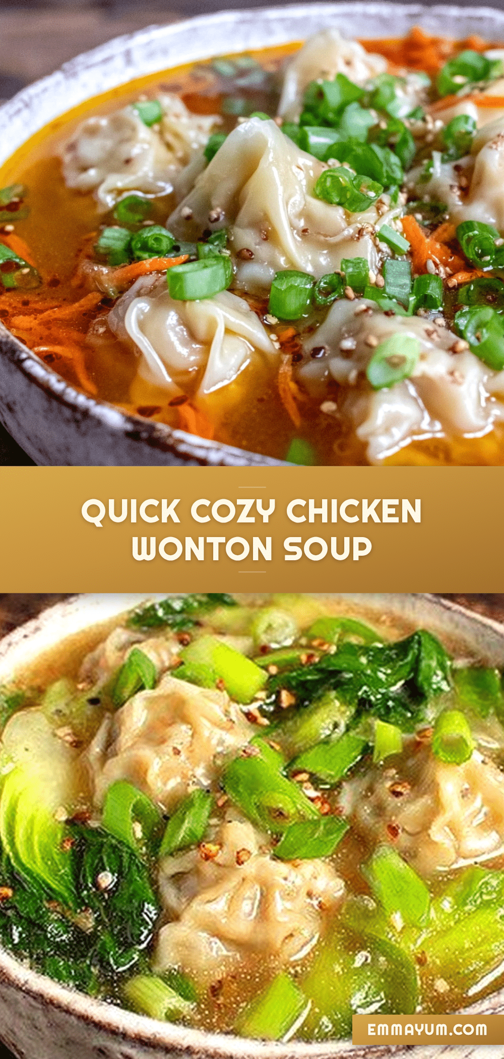 quick cozy chicken wonton soup recipe