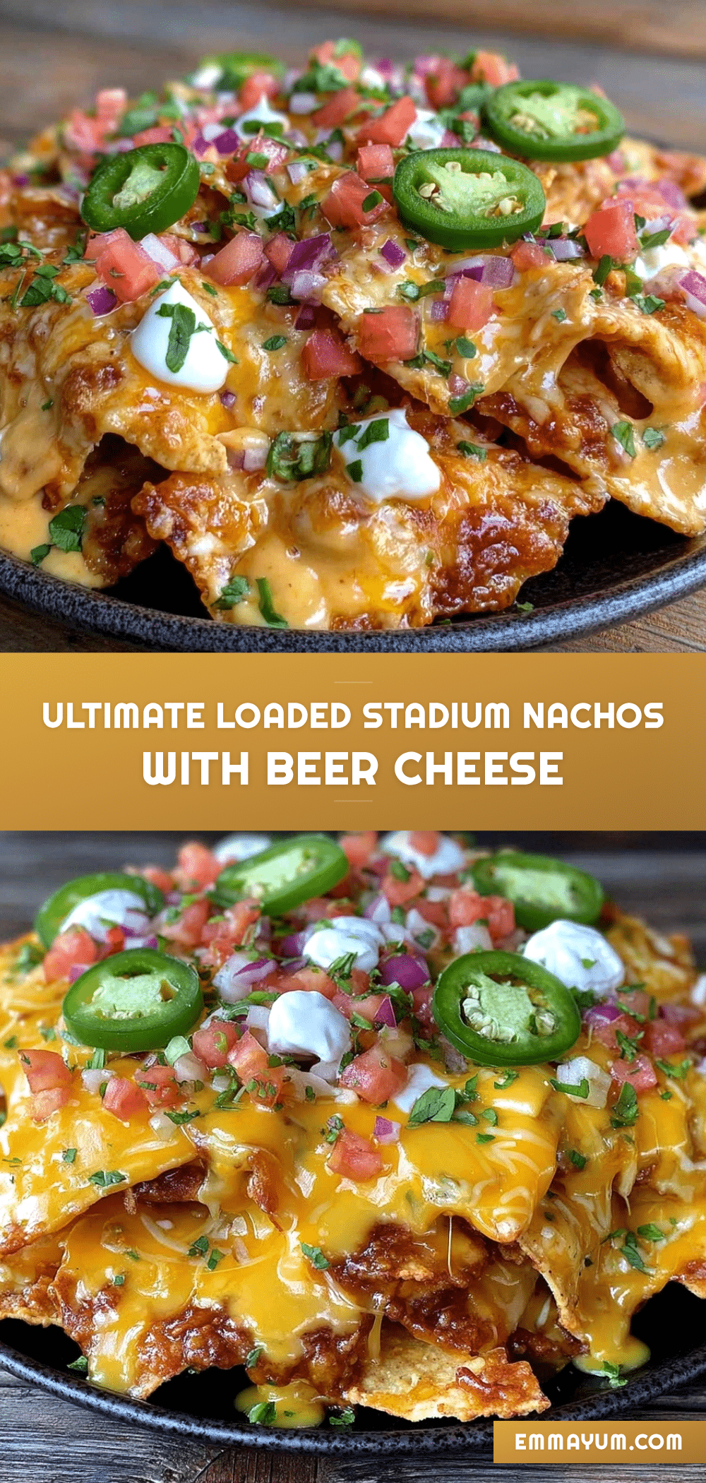 savory loaded stadium nachos recipe