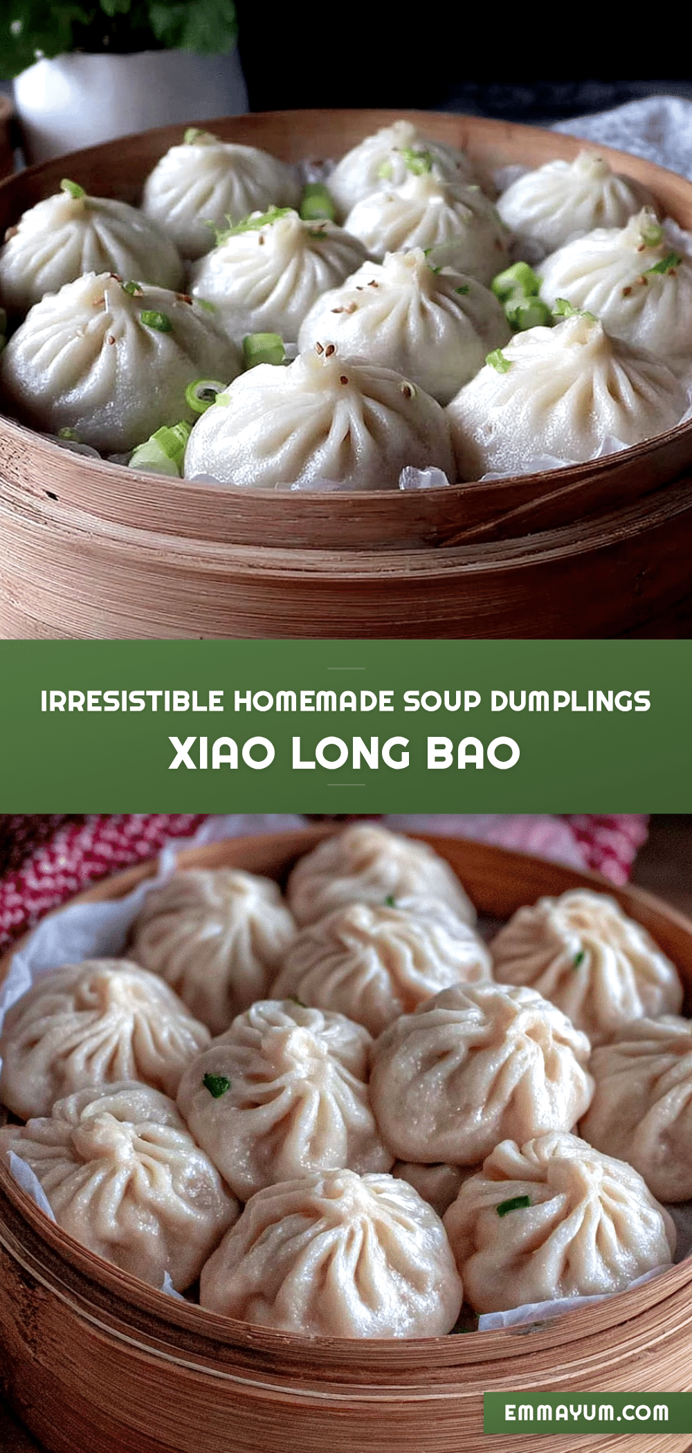 soup dumplings xiao long bao recipe recipe