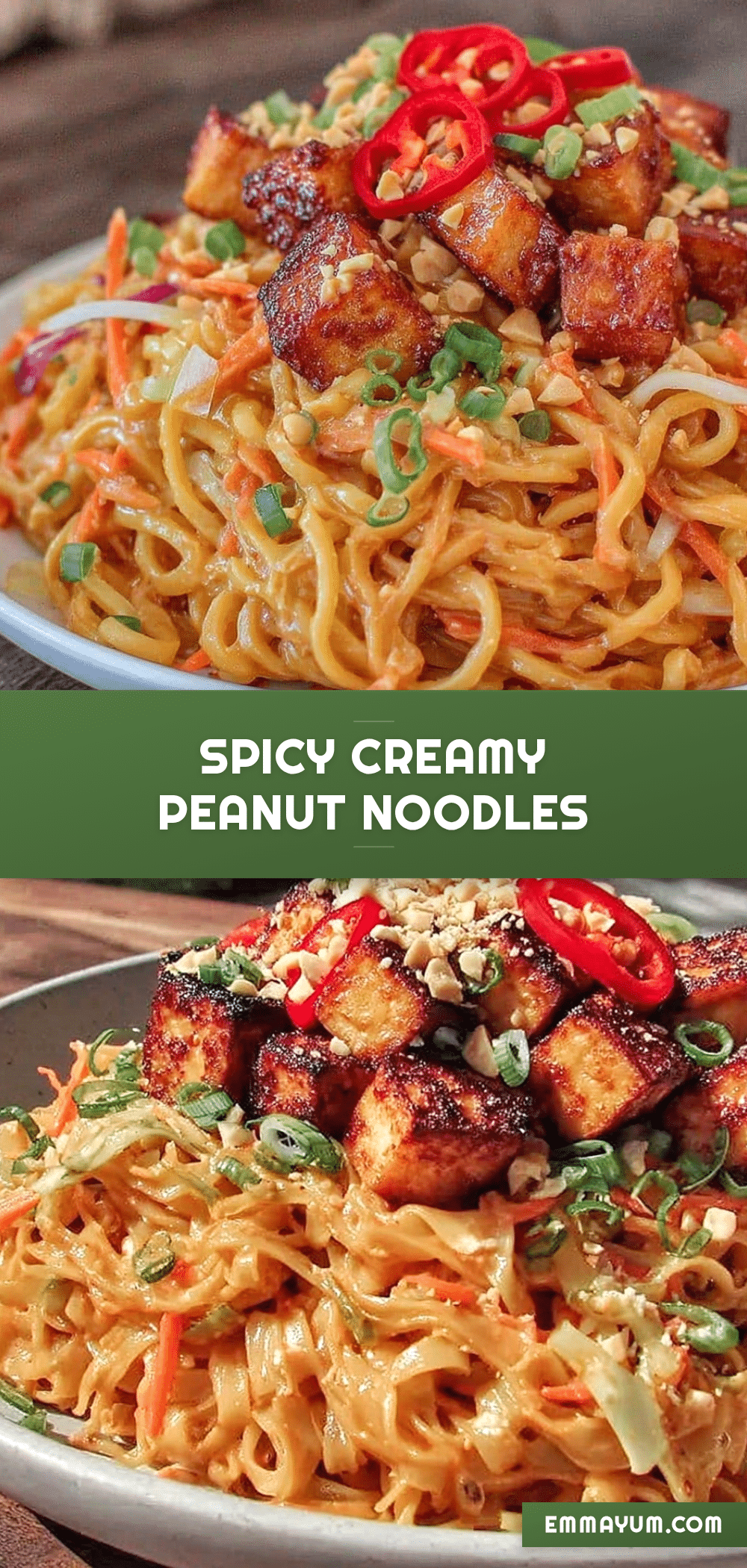 spicy peanut noodles recipe
